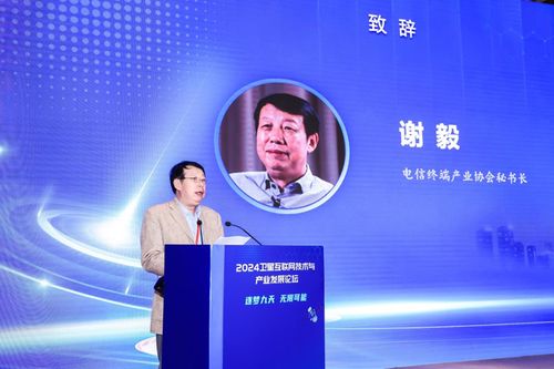 逐夢(mèng)九天 無限可能 2024衛(wèi)星互聯(lián)網(wǎng)技術(shù)與產(chǎn)業(yè)發(fā)展論壇圓滿舉辦